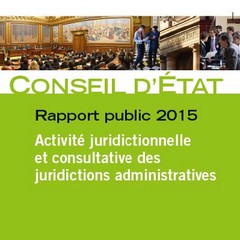 rapport-public-conseil-etat-2015